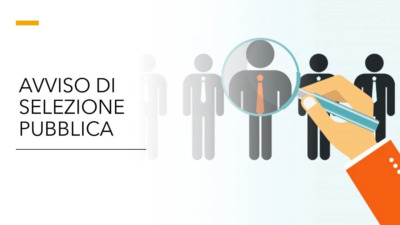 elezione art.